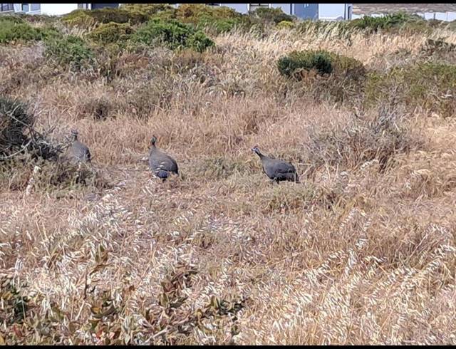 LAND FOR SALE IN HOOGLAND